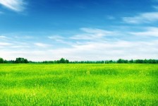 伊犁上海伴游 上海模特伴游微信号的交友宣言