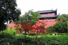 伊犁南京旅游攻略(南京旅游攻略自由行攻略)