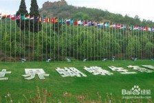 伊犁昆明旅游攻略(昆明旅游攻略景点大全抚仙湖)