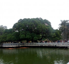 伊犁福州旅游攻略(福州旅游攻略二日游)