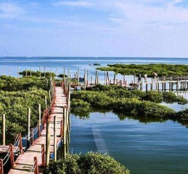伊犁旅游哪里好玩(云南旅游哪里好玩)