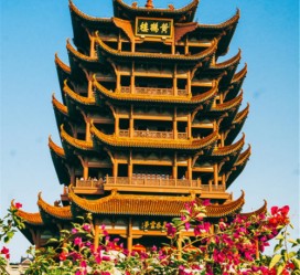 伊犁武汉游玩攻略(武汉游玩攻略路线)