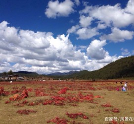 伊犁旅游去处(暑期最好的旅游去处)