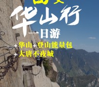 伊犁一日游(一日游需要准备些什么东西?)