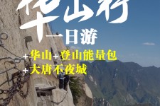 伊犁一日游(一日游需要准备些什么东西?)