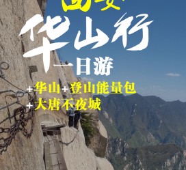 伊犁一日游(一日游需要准备些什么东西?)