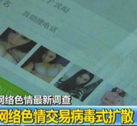 伊犁上海伴游 伴游女郎白天陪玩晚上陪睡 网络跑火日薪过万(图)