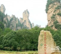 伊犁自驾旅游攻略(自驾旅游攻略app排行榜)