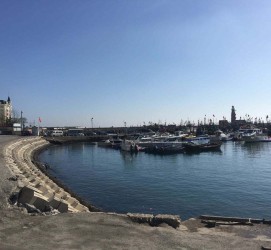 伊犁大连旅游攻略(大连旅游攻略自由行)