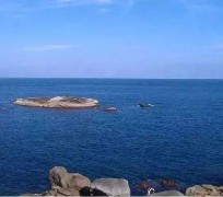 伊犁短途游(短途游玩的说说)