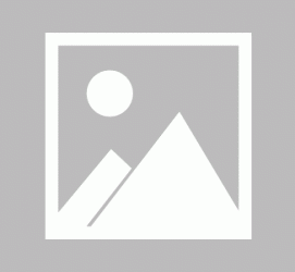 伊犁商务伴游招聘 不法分子冒充宾馆网上高薪招吧女要求思想前卫