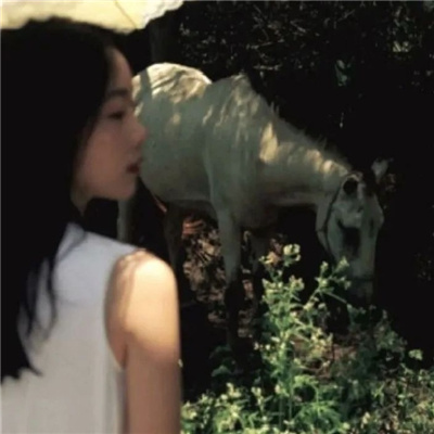 伊犁私家伴游让你拥有一次完美的旅游体验