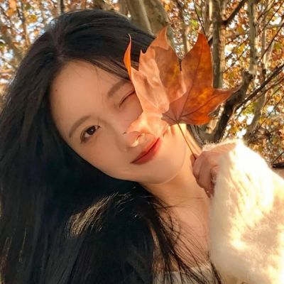 伊犁商务伴游如何带客户出游体验特色景点